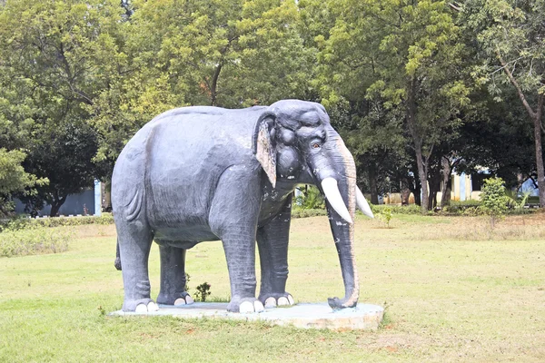 Kő elefánt — Stock Fotó