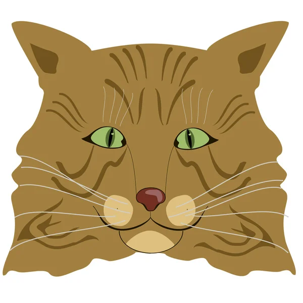 Caroon Maine coon — Stock Vector