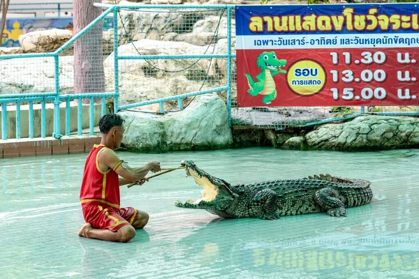 Bung Chawak Suphan Buri Таїланд Вересень 2021 Крокодил Шоу Біля — стокове фото