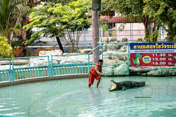 Bung Chawak Suphan Buri Tajlandia Wrzesień 2021 Pokaz Krokodyli Przy — Zdjęcie stockowe