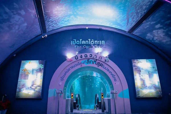 Suphan Buri Tailândia Setembro 2021 Área Submundo Aquático Dentro Aquário — Fotografia de Stock