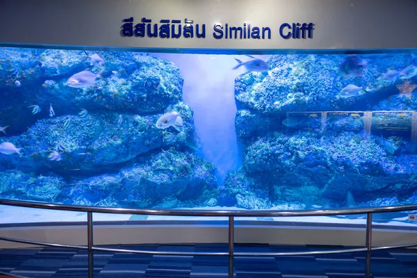 Suphan Buri Tailândia Setembro 2021 Área Submundo Aquático Dentro Aquário — Fotografia de Stock