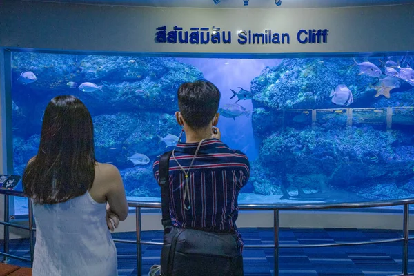 Suphan Buri Thailand September 2021 Unbekannter Tourist Bereich Der Unterwasserwelt — Stockfoto
