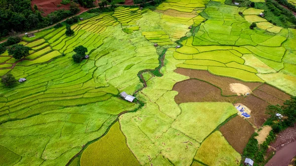 10月 在泰国北部的雨季 梯田水稻与绿地一起进入泰国北部的南山 照片来自无人驾驶飞机的空中拍摄 — 图库照片
