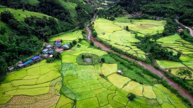 Tayland 'ın kuzeyindeki Nan Eyaleti' nde, Ekim ayında yeşil tarlalı teras pirinci. Fotoğraf: İHA 'dan hava görüntüsü.