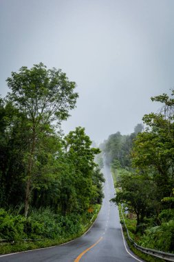 Gökyüzü Yolu, 1715 yolundaki sisli dünyaya uzanır. Nan, Thiland. Yağmur mevsiminde sisle doludur..