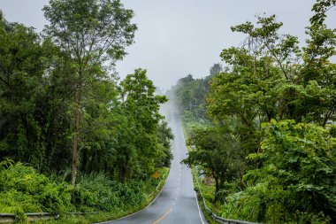 Gökyüzü Yolu, 1715 yolundaki sisli dünyaya uzanır. Nan, Thiland. Yağmur mevsiminde sisle doludur..