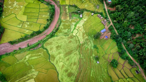 Tayland 'ın kuzeyindeki Nan Eyaleti' nde, Ekim ayında yeşil tarlalı teras pirinci. Fotoğraf: İHA 'dan hava görüntüsü.