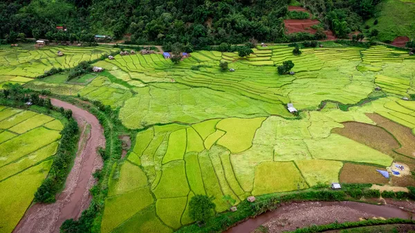 Tayland 'ın kuzeyindeki Nan Eyaleti' nde, Ekim ayında yeşil tarlalı teras pirinci. Fotoğraf: İHA 'dan hava görüntüsü.