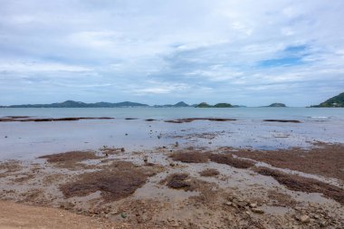 Nang Ram Sahili 'nin deniz kenarındaki atmosferi. Tatil için kullanılabilecek bir yer. Tayland' ın Sattahip şehrinin en ünlü yerlerinden biri.