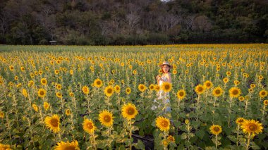 Ayçiçekli mutlu kız doğanın tadını çıkarıyor ve yaz ayçiçeği tarlasında gülümsüyor. Özgürlük kavramı ve...