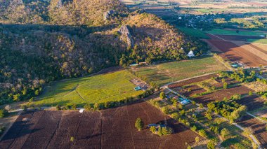 Gömülme manzaralı ayçiçeği tarlası Khao Jeen Lae Ayçiçeği tarlasında günbatımının arka planında Lopburi, Tayland