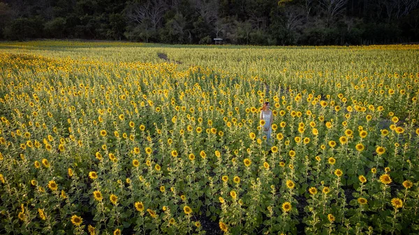 Joyeux Joyeux Fille Avec Tournesol Profiter Nature Sourire Sur Champ — Photo