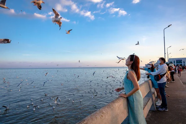 Mulher Bonita Mão Alimentação Gaivota Durante Pôr Sol Gaivota Evacuar — Fotografia de Stock