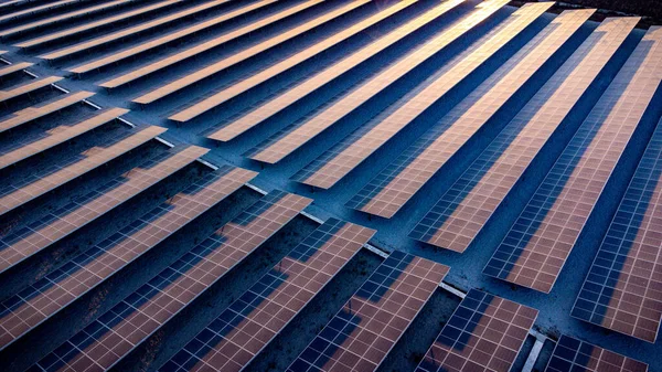 Solar Cell Solar Farm Concept Sustainable Green Energy Generate Energy — Stockfoto