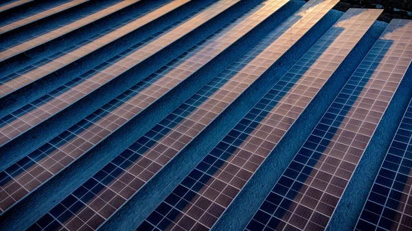 Güneş Çiftliğindeki Güneş Hücresi Güneş Işığından Enerji Üreterek Sürdürülebilir Yeşil — Stok fotoğraf