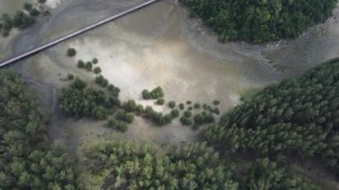 4K, Laem Son Ulusal Parkı üzerinde dalga plajı ve parkın sahil bölgesinde bir sürü çam ağacı var. Laem Son Ulusal Parkı, Kapur Bölgesi, Ranong, Tayland