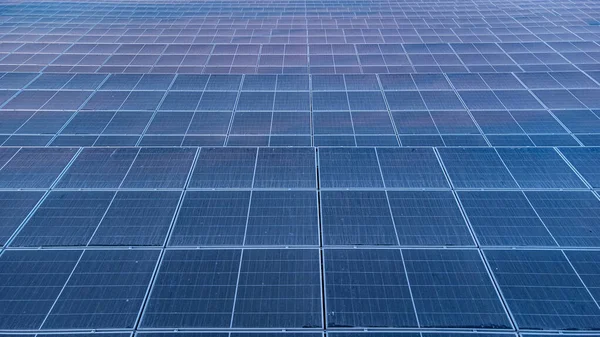 Ansicht Von Sonnenkollektoren Solarzellen Solarpark Und Sonnenbeleuchtung Reflektieren Mit Kopierfläche — Stockfoto