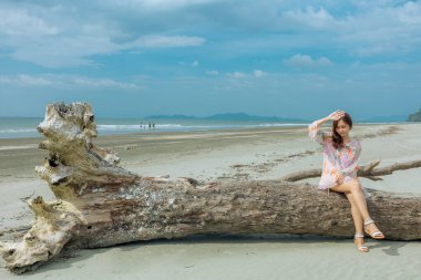 Kumlu sahildeki ölüm ağacında oturan Asyalı kız Laem Son Ulusal Parkı 'ndaki Çam Ormanı, Ranong, Tayland