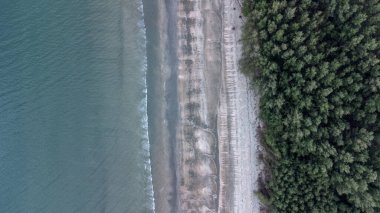 Laem Son Ulusal Parkı, Ranong, Tayland 'da doğanın ortasında uzanan güzel siyah beyaz plaj yüzeyi..