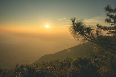 Sabahın doğuşu ve güzel Pinus Kesiya ağacı ve tepe vadisi. Tayland 'ın Loei bölgesindeki Phu ruea Ulusal Parkı' nın tepesinde. Fotoğraf alanı kopyala