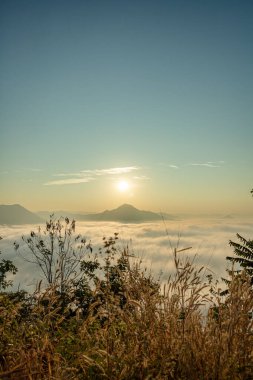 Tepedeki Doi Phu Thok, Chiang Khan, Loei, Tayland 'daki deniz sisi ve altın gün doğumu, kışın gündoğumunun arka planında yer alır.. 