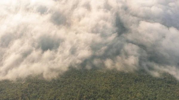 Θάλασσα Της Ομίχλης Καλύπτει Την Περιοχή Στην Κορυφή Του Λόφου — Φωτογραφία Αρχείου
