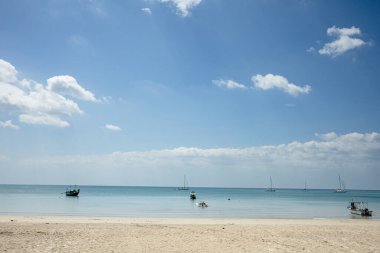 Pattaya, Tayland - Ocak 2025: Bu görüntü Tayland polo kulübündeki bir binicilik atlama yarışmasında heyecan verici bir anı yakalıyor. Bir binici havada atına ustalıkla rehberlik ederken görülüyor..