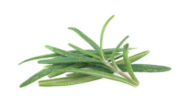 Biberiye dalı ve yaprakları beyaz arka planda izole edilmiş.