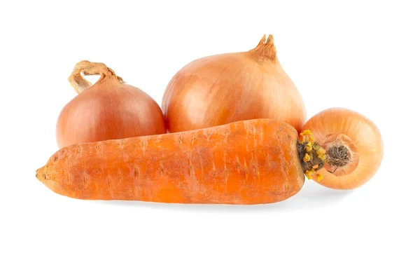 Cebollas Zanahorias Aisladas Sobre Fondo Blanco — Foto de Stock