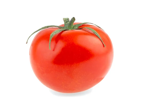 배경에는 토마토만 — 스톡 사진
