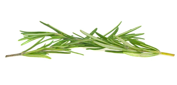 Rosemary Twig Leaves Isolated White Background — Stock Photo, Image