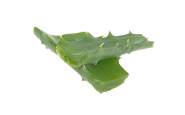 beyaz arkaplanda izole edilmiş aloe vera parçası