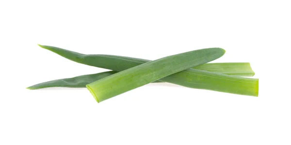 Young Green Onion Isolated White Background Fresh Green Chives — 스톡 사진