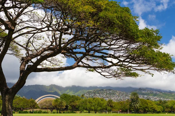 Waikiki Szállodák Épületek Tengerparton Túl Oahu Hawaii — Stock Fotó