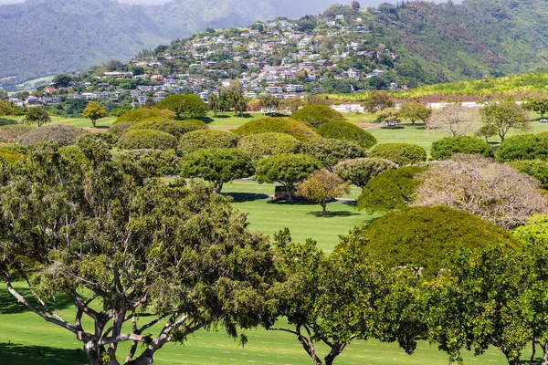 モンキーポッドは 太平洋の国立記念墓地 オアフ島全体に木を植えています ハワイ州 — ストック写真