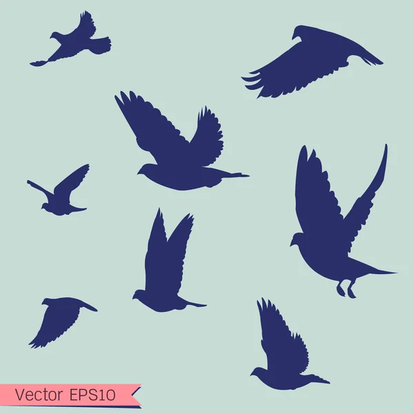 Pássaro voador silhueta — Vetor de Stock