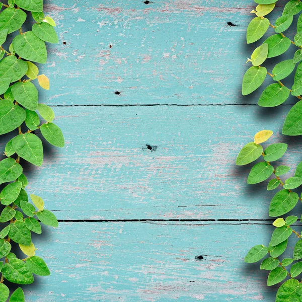 Ivy fastställande klättring träd på vintage blå trä paneler. — Stockfoto