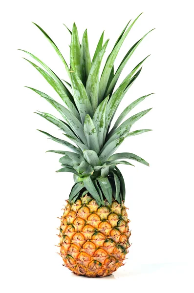 Ripe and fresh pineapple isolated on white. — Stock Photo, Image