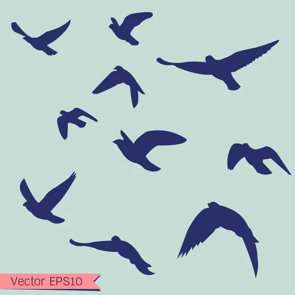 Silhouette of flying bird — Stock Vector