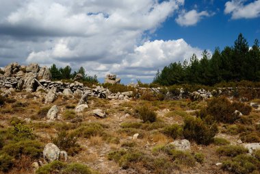 Monte Limbara Görünümü