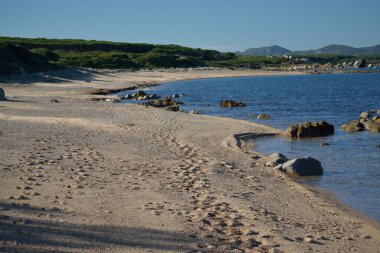Tavanatu plajı manzarası