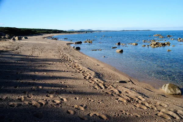 Blick Auf Den Strand Von Tavanatu — Stockfoto