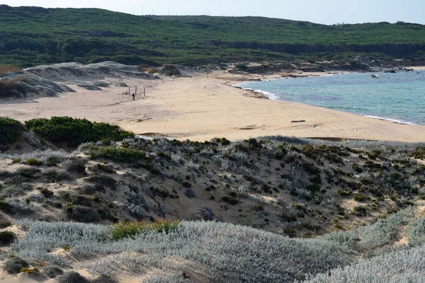 Vue Sur Plage Litarroni Ses Dunes — Photo