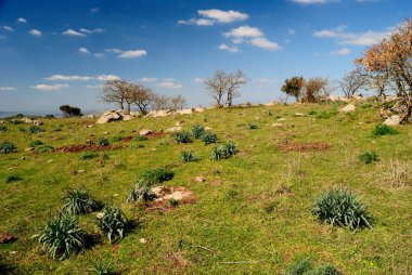 Monte Santo Zirvesi Görünümü