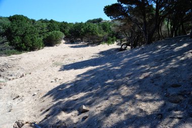 Li Nibari sahili ya da Cala del Cervo, Costa Smeralda