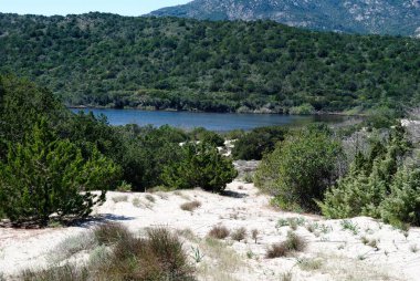 Grande Pevero plajının kumulları, Costa Smeralda