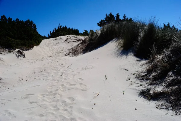 Dunes Grande Pevero Beach Costa Smeralda — стоковое фото