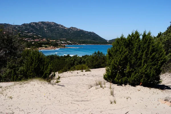 Dunes Grande Pevero Beach Costa Smeralda — Stock Photo, Image