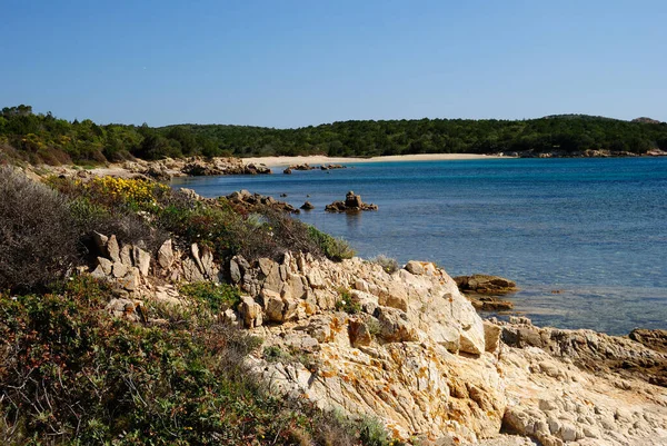 Widok Plażę Razza Junco Obrazy Stockowe bez tantiem